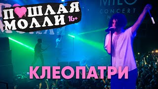 ПОШЛАЯ МОЛЛИ — Клеопатри | 21.02.2020 НИЖНИЙ НОВГОРОД