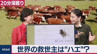 世界の救世主は“ハエ”!?【塩田真弓の「サステナブルってなに？」】（2019年12月25日）
