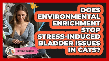 Does Environmental Enrichment Stop Stress-induced Bladder Issues In Cats? - Happy Cat Handbook
