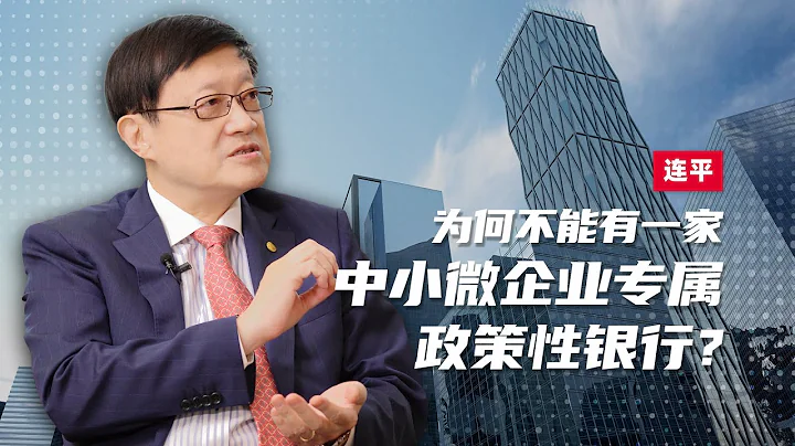 連平：支持民營經濟，何不建立中小微企業專屬政策性銀行？ - 天天要聞