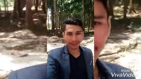 Wisata Hutan Alam Pemerintah Puruk Cahu Kabupaten Murung Raya