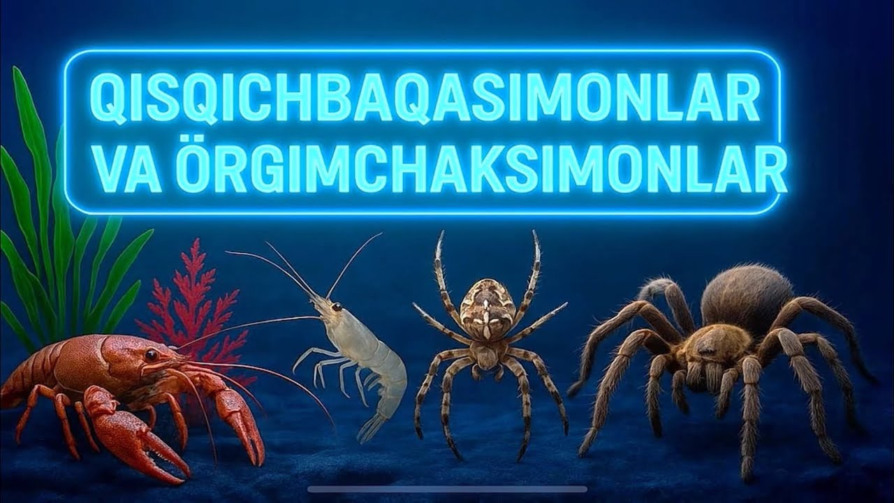 7-sinf. 16-19-mavzular(Qisqichbaqasimonlar va o’rgimchaksimonlar)