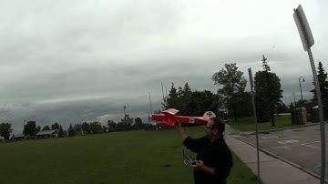 Red Baron - Armin Style