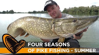 Four Seasons of Pike Fishing Episode #2 - Summer with Sean Wit