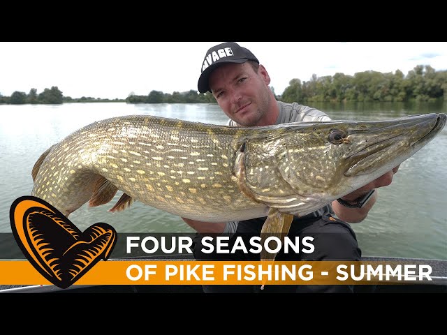 Four Seasons of Pike Fishing Episode #2 - Summer with Sean Wit 