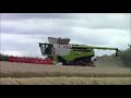 3 Claas 780 combines cutting winter barley 2020