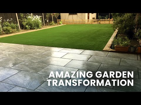 backyard transform