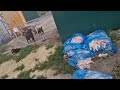 Новости с территории нового приюта