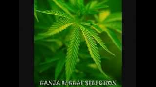 Double Selecta Reggae(still dre riddim) ft drum n bass Resimi