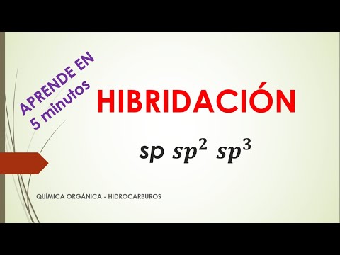 Video: ¿Cuántos hibridaron en carbono?