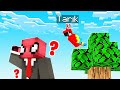 FERİTED VS HAYVAN SAKLAMBAÇ 🐶 - Minecraft