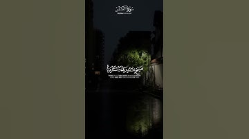 سورة النصر للقارئ ماهر المعيقلي 🤍 #قرآن #حالات واتس #quran