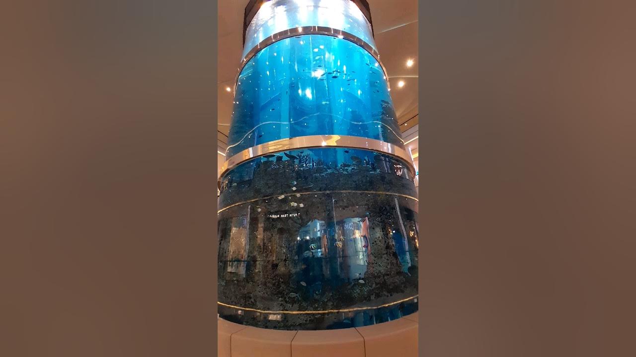 Балаклава Москва акварин - YouTube