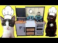 Mis gatitos bebés Luna y Estrella jugando con cocina de juguetes para niños / Funny Cats