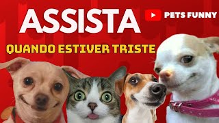 Assista quando estiver triste,animais engraçados - Pets Funny