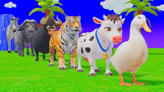 Long Slide Game with Tigers Lion Cow Hippopotamus Gorilla 3d Animal Game Funny 3d Animals