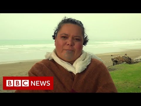 Captain Cook 'visited murder upon our people' - BBC News