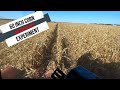 How Farmers LOSE $$$  | 60 Inch Corn Plot