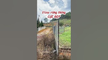 4,5 sào đất Chân đèo Prenn, Hiệp An, Đức Trọng #batdongsan #nhadatlamdong #trending