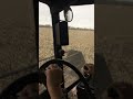 Case Ih 1680 cutting Milo