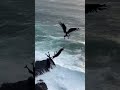 I can’t explain what I just saw… 😨🌊