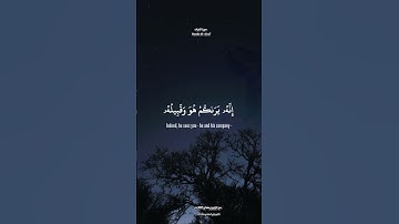 #قرآن #quran #مقطع_قران #shortvideo #تلاوات #quran_stories #اكسبلور #islam #تلاوة_خاشعة #status