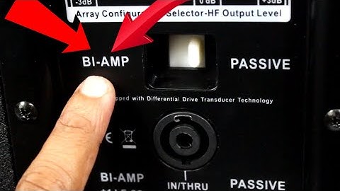 What is BI-AMP in your Speaker System | How to Connect Your Speakers In BI-AMP # Tech & Techniques