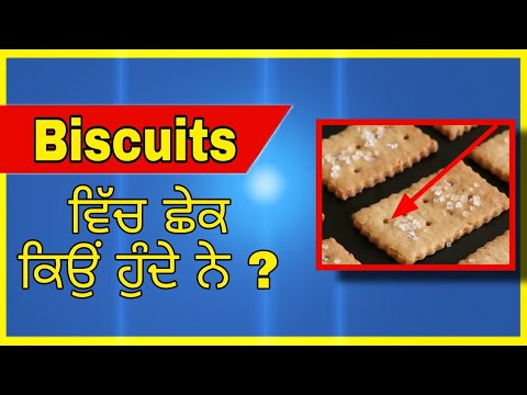 Biscuits ਵਿੱਚ ਛੇਕ ਕਿਉਂ ਹੁੰਦੇ ਨੇ ? Mr. Punjab Wala | Punjabi facts | #Shorts