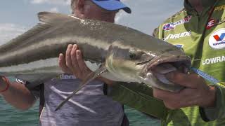 Berkley Skid Jig Lures - BCF