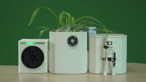 Self Watering Empire Plant Pot - a raspberry pi, maker and python project - startup sequence