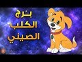 برج الكلب الصيني الأسرار والمواصفات الكاملة