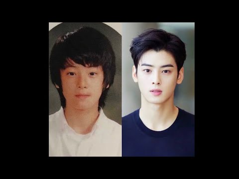 kpop idols who had plastic surgery according to plastic surgeon