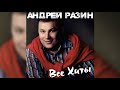 Андрей Разин - Я так жду