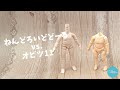 1分でわかる！ねんどろいどどーる vs. オビツ11【nuichouchou】