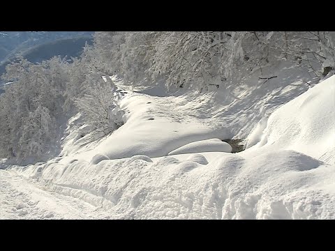 გადაადგილება პრობლემურია შიდა სასოფლო გზებზე