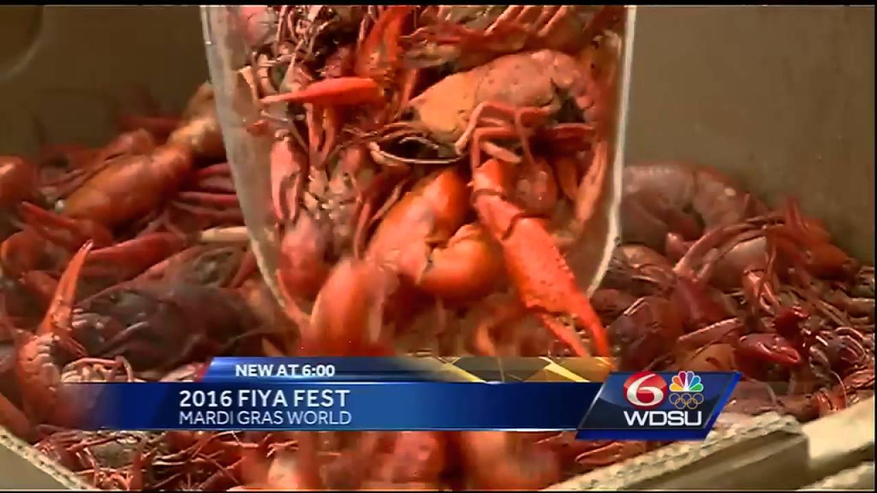 Fiya Fest rocks Mardi Gras World