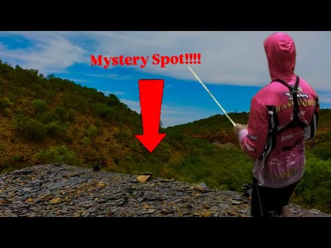 Bass fishing in the Bundus