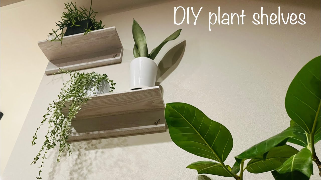 観葉植物用の棚をプチdiy 植物の成長記録 Youtube