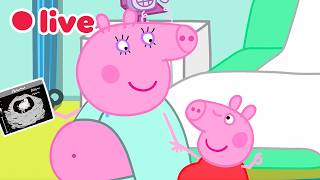 🔴 LIVE: Cutest Baby Evie Episode 🍼 Peppa Pig Best Big Sister Moments✨Kids Cartoons 🐷 FULL Episodes