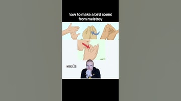 tutorial mellstroy #tutorial #birds #mellstroy #memes