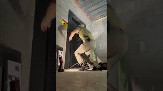 Installing Rhino’s Largest Vault Door- IWVD8045