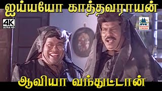 ஐய்யயோ காத்தவராயன் ஆவியா வந்துட்டான் #senthil #goundamani Puthu Nilavu Movie Comedy Scene by 4K Tamil Comedy 1,327 views 4 weeks ago 5 minutes, 32 seconds