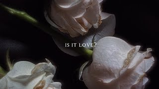 Loreen - Is It Love (Lyrics / Sped up) Resimi