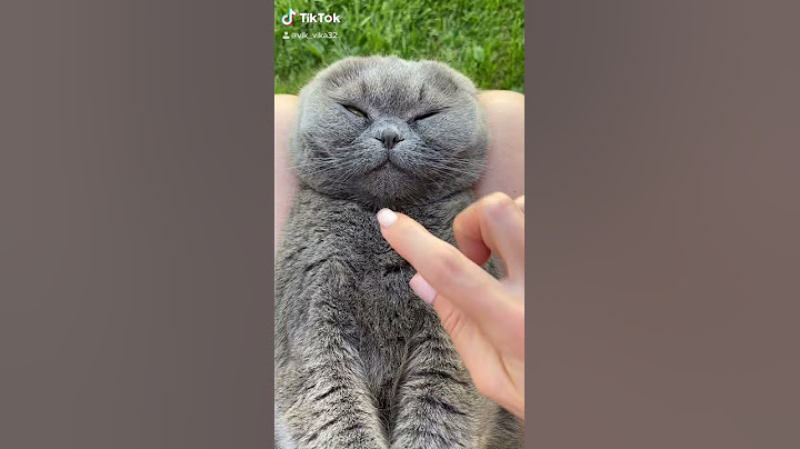 Не трогай меня 🐈