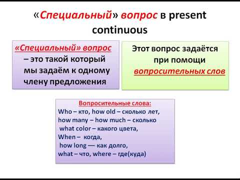 Специальный вопрос в past. Специальные вопросы в паст Симпл. Type в present Continuous. Специальные вопросы в present simple.