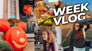 Let's Catch Up! Lyndsey & College + Trader Joe's Fall Haul + More!