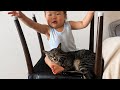 赤ちゃんの危険を察知した猫がまさかのこうなりました