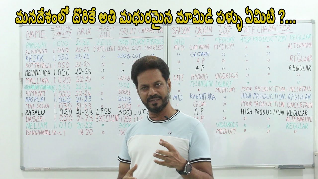 మనదేశంలో దొరికే అతి మధురమైన మామిడి పళ్ళు ఏమిటి | Characterstics Of Manoges | All About Mangoes