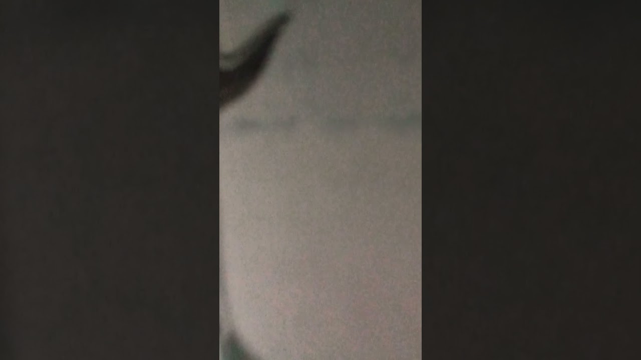 Mukesh Plastics and Home Appliances💜  For more details contact [ph:9994582950 / 9952337590]