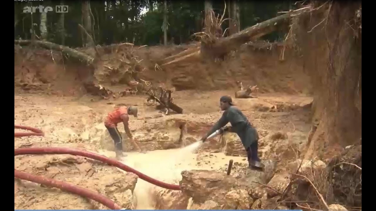 Chasseur de chercheur, l’or de Guyane